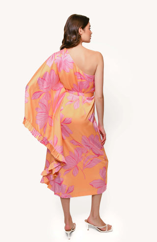 Moran Maxi
