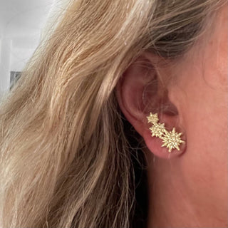 Star Climber Stud