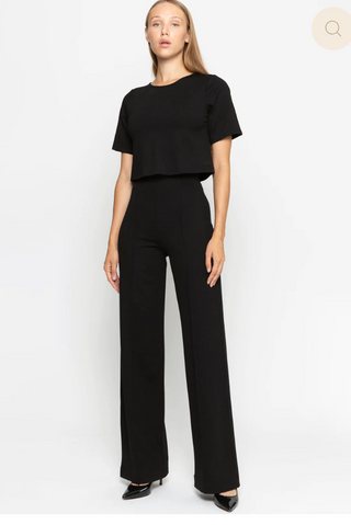 Ponte Knit Straight Leg Pant